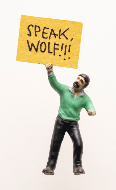 Artwork "Speak, Wolf!!!" by artist Thomas Doyle